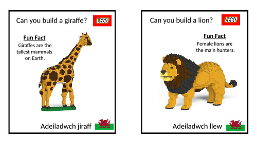 animal-lego-cards-stem-teaching-resources