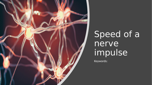 3.6.2.1 L4 Speed of an impulse (AQA A-Level biology) | Teaching Resources