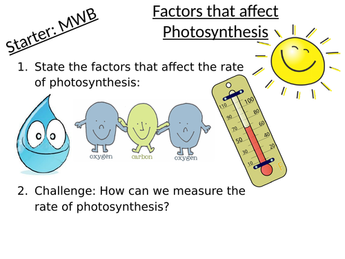 B2.19 Factors that affect the rate of photosynthesis GCSE biology ...