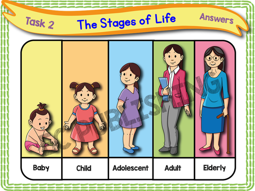 human-life-cycle-ks1-teaching-resources