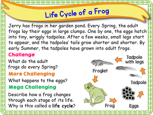 Human Life Cycle - KS1 | Teaching Resources