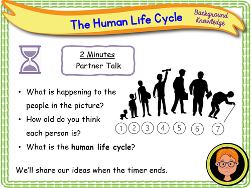 Human Life Cycle Puzzle