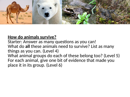 Animal Habitats game/interactive lesson | Teaching Resources