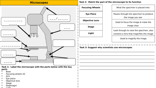 Light Microscopes - Worksheet