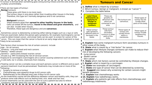 Cancer - Worksheet - Higher & Foundation