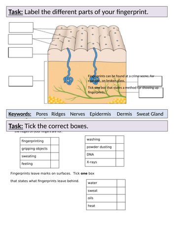 docx, 651.92 KB