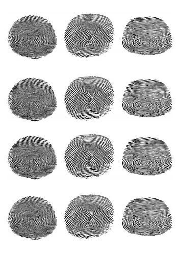 Activate 3 - B3 - Detection in Biology -  Fingerprinting