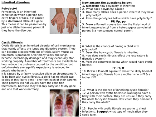 Inheritance (Cystic fibrosis & Polydactyl) (SPEC 6, AQA) H&F