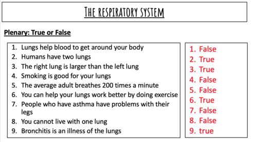KS3 Respiratory system and gas exchange | Teaching Resources