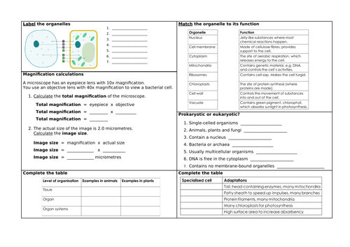 Aqa 4.1.1 Cell Biology And Microscopy Revision Placemat 