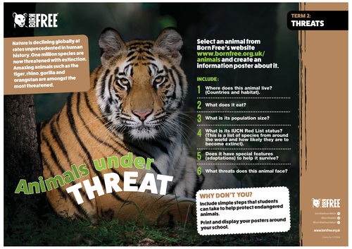Environmental Club - Pack 2 - Threats To Wildlife | Teaching Resources