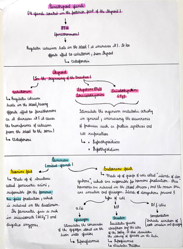 Hormones | Teaching Resources