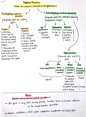 Hormones | Teaching Resources