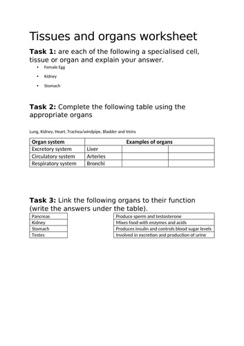 docx, 46.71 KB