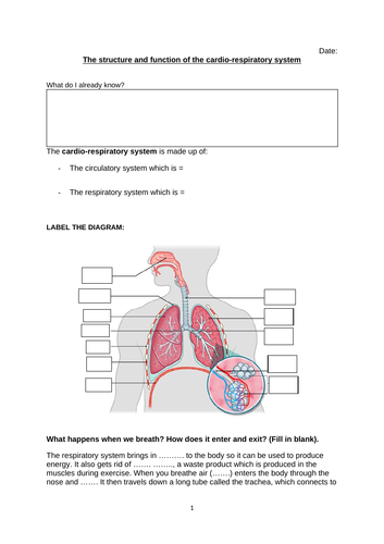 docx, 300.13 KB