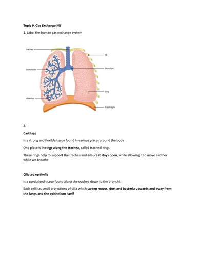 as-biology-topic-9-gas-exchange-worksheet-and-mark-scheme-teaching-resources