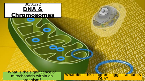 8.2 - DNA & Chromosomes