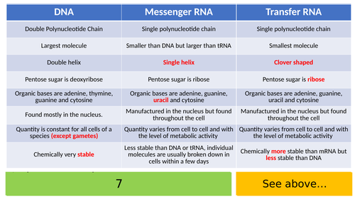 8.4 - Transcription & Splicing