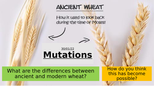 9.1 - Mutations