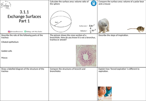 3.1.1 Exchange Surfaces revision grid OCR A level biology | Teaching ...