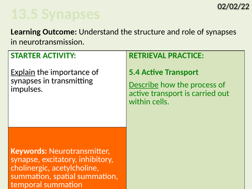 OCR Biology A- 13.5 Synapses