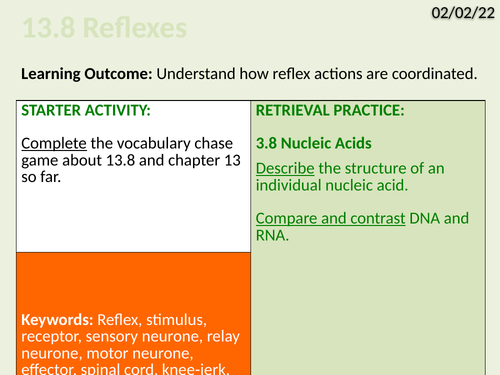OCR Biology A- 13.8 Reflexes