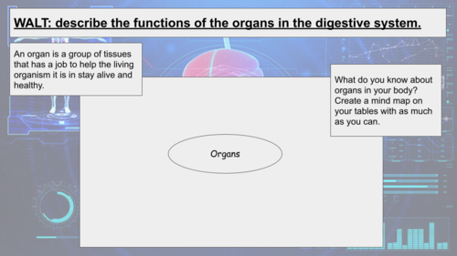 Animals Including Humans Digestive System Year 4