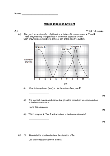 GCSE 4.2.2.1 human digestive system AQA & Enzymes | Teaching Resources