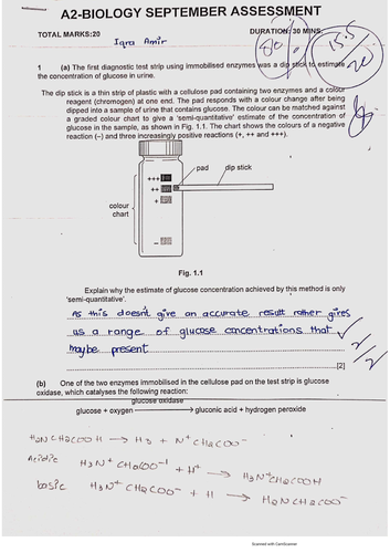 A Level Biology Homeostasis End Of Chapter Test, Cie Past Year 