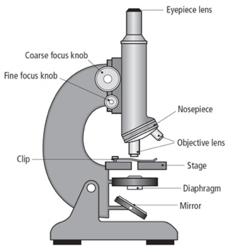 B1.1 - The World of the Microscope | Teaching Resources