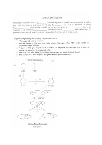 docx, 777.72 KB