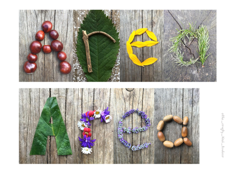 Nature signs for displays across EYFS and Primary classes | Teaching ...