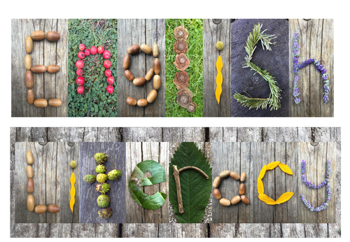 Nature signs for displays across EYFS and Primary classes | Teaching ...