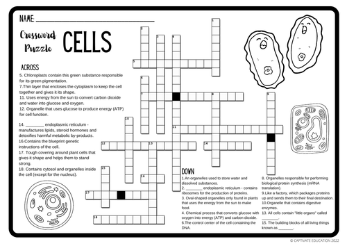 science-cells-crossword-puzzle-activity-b-w-colored-version