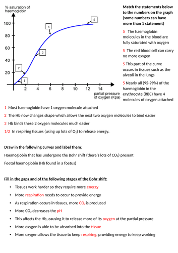 docx, 137.06 KB