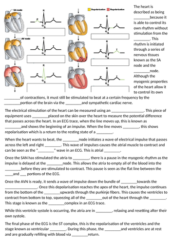 docx, 893.49 KB