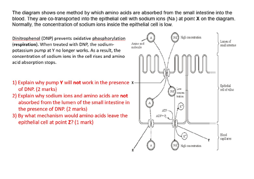 docx, 627.92 KB