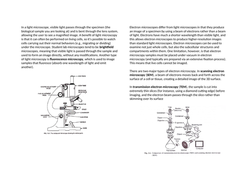 docx, 214.83 KB