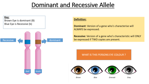 recessive definition