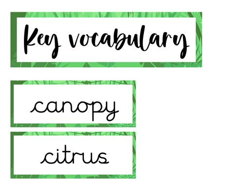 Key Vocabulary PRINTABLE Cards For Rainforests Topic GEOGRAPHY katie 
