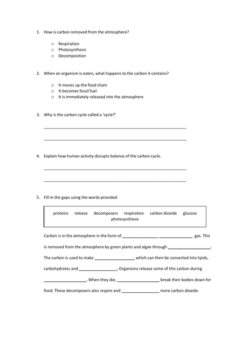 The Carbon Cycle (GCSE Biology AQA) | Teaching Resources