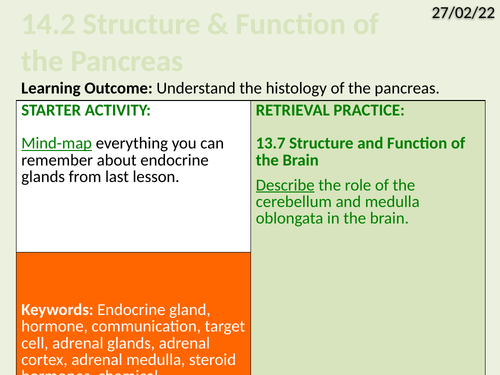 OCR Biology A- 14.2 Structure and Function of the Pancreas