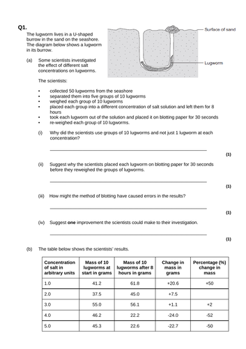 docx, 218.5 KB