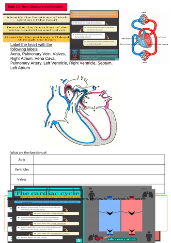 docx, 6.45 MB