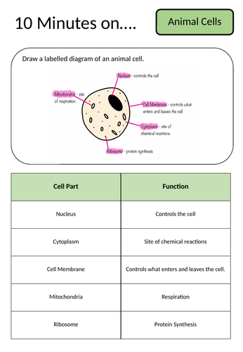 AQA GCSE Biology Paper 1 Revision Guides 2022 | Teaching Resources