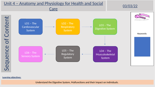 Health and Social care Unit 4 LO3 | Teaching Resources