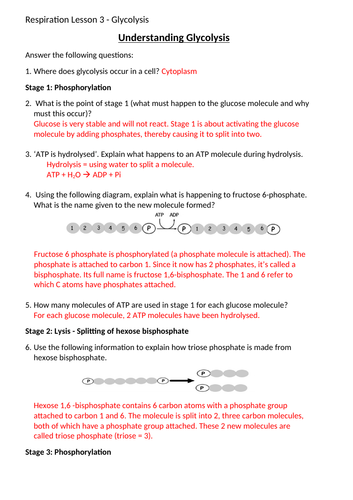 docx, 62.5 KB