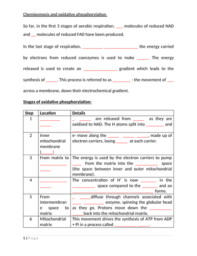 docx, 102.37 KB