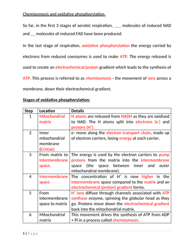 docx, 102.37 KB