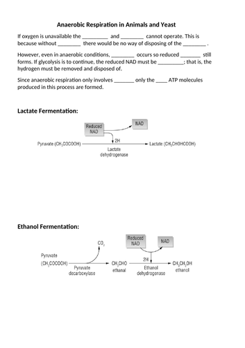 docx, 149.21 KB